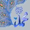 hamzahamdani70