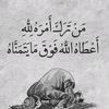 user2979102352181