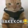 rirbjr