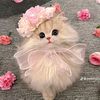 user361047261967