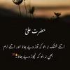 syedadeelhaider05