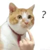 .................3427