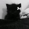 adwa_wa123