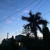 shikhaa.ch_