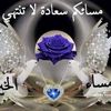ayoubbichaelmekni