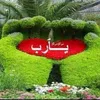 naimahmidani7