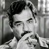 amr.alnasharty