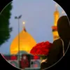 .noor.ali37