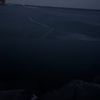 sp_sophie0