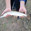 rybalka_64reg