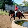 alvesdivaldo6