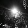 neon65917
