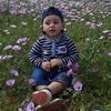 user8742402841906