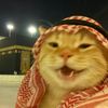 farizainurrahman.09