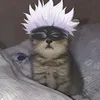 pusa1.7