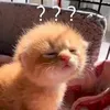 _ilovebeaver