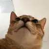 hwmyun
