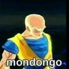 mondongo9999020