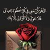 azoz2429