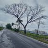 farhanaashraf050