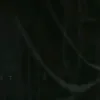 renielanthony