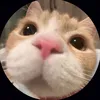 chbot2