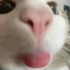 khy50_0