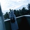 fauzan26429