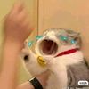 ddbbhhd