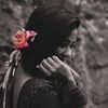 🌸🍁>ফু'ল<🍁🥀