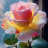 user4319001455339