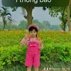 user4512521112245