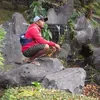 davitbaru