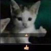 celeste.mkv