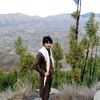 jahanzaib.afridi03