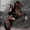 kawyan_62