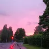 riisi_salo