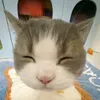 onhatenbimbim
