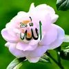 user8574615425570