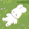 imnot_kinar