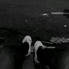 seven1_5