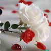 user2934514321776
