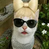 divaalienclub