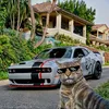 gustavo_zwn