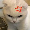 brofuckyoubitch00
