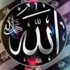 bibihussain0