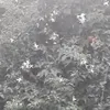 hhhhhhhhhhhh_hhhhh
