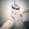 lipi_raxga_xerek