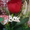 user1280350725381