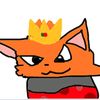 foxfor567